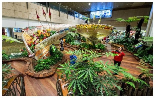 Vườn lan bên trong sân bay Changi | Singapore có mấy sân bay? Hỏi &đáp về sân bay Singapore