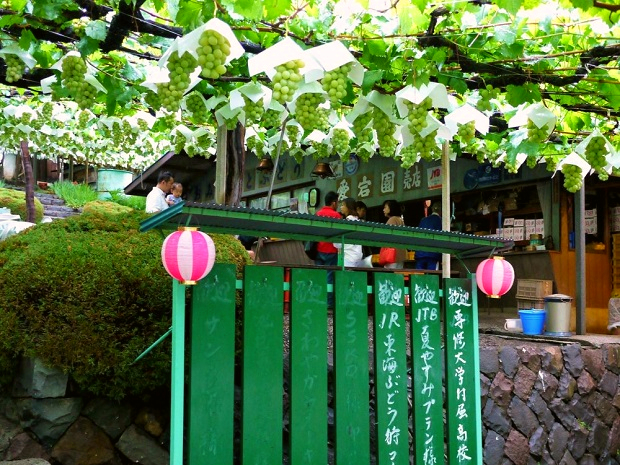 Vườn nho Atago-En Nhật Bản