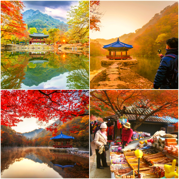 Vườn quốc gia Naejangsan