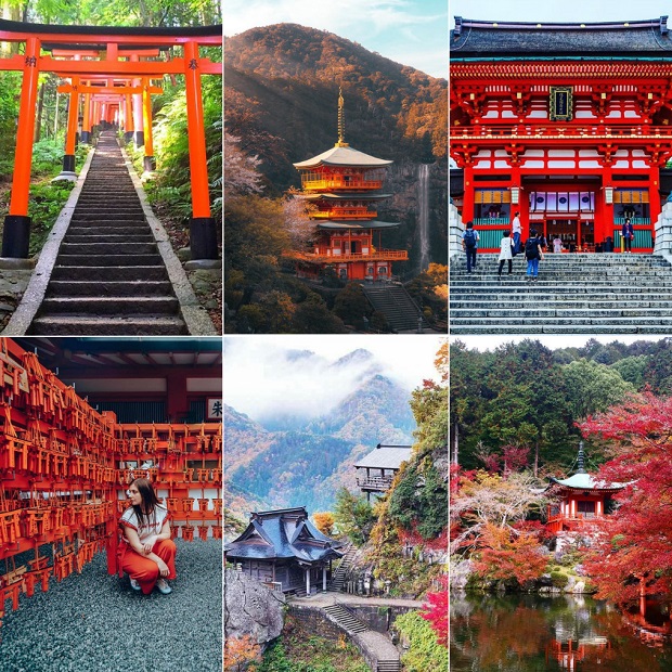 Tham quan đền chùa ở Kyoto