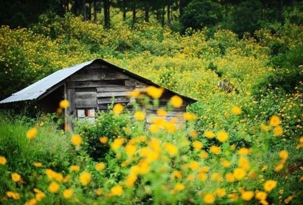 Du lịch Đà Lạt tháng 9