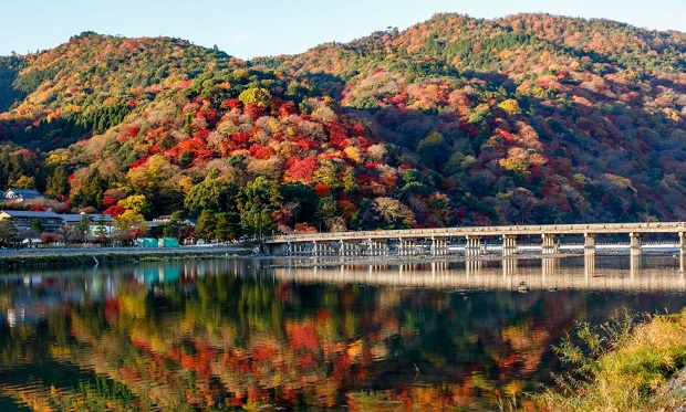 Mùa lá đỏ ở Kyoto mua-la-do-o-kyoto