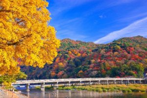 Tour du lịch Nhật Bản 3 ngày 2 đêm: Osaka – Kyoto – Wakayama 3N3Đ