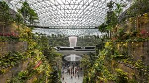 Kinh nghiệm quá cảnh sân bay Changi Singapore