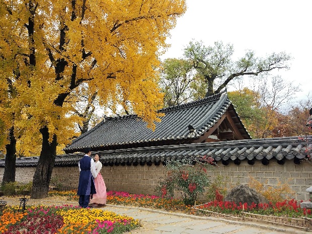 Làng Hanok Jeonju mùa thu | Những địa điểm du lịch mùa thu Hàn Quốc