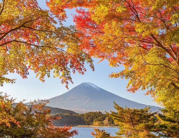 Tour Nhật Bản Tokyo – Nikko – Yamanashi – Núi Phú Sĩ 5N5Đ