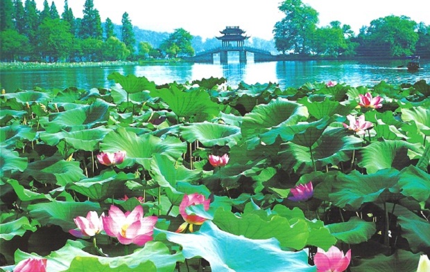 Thắng cảnh Tây Hồ Hàng Châu | Vé máy bay TPHCM đi Hàng Châu giá rẻ