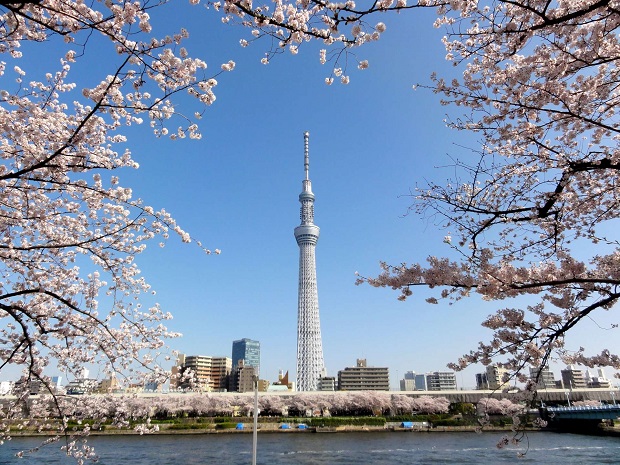 Tháp truyền hình Tokyo Skytree kinh-nghiem-du-lich-tokyo-nhat-ban
