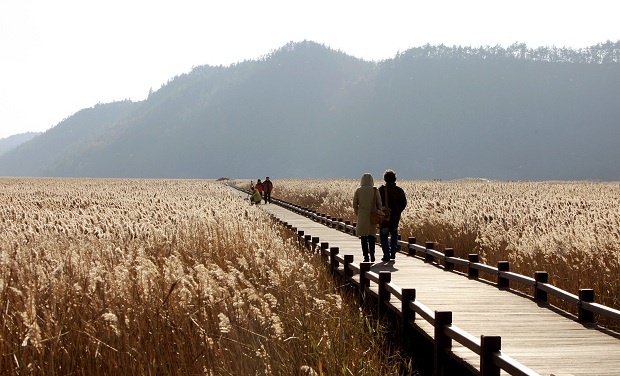 Vịnh Sunchoen Mùa thu | Những địa điểm du lịch mùa thu Hàn Quốc