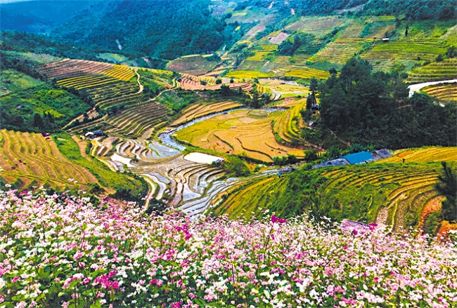 ban-do-du-lich-mu-cang-chai