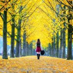 Những cảnh đẹp mùa thu Hàn Quốc không thể bỏ qua