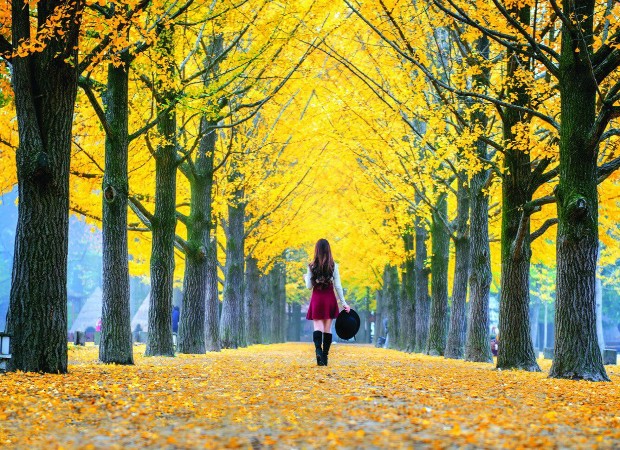 Mùa thu đẹp lung linh với hình ảnh mùa thu đẹp nhất thế giới