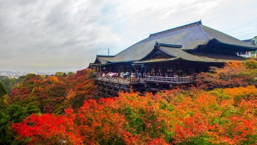 Mùa lá đỏ ở Kyoto mua-la-do-o-kyoto