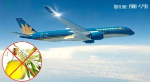Lí do các loại tinh dầu không được mang lên máy bay