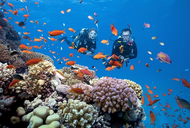 Lặn biển ngắm san hô