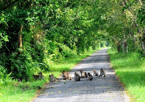 Vườn Quốc gia Phú Quốc
