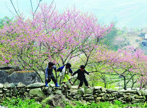 SPRING ON THE MOUNTAIN, SPRING IN VIET NAM