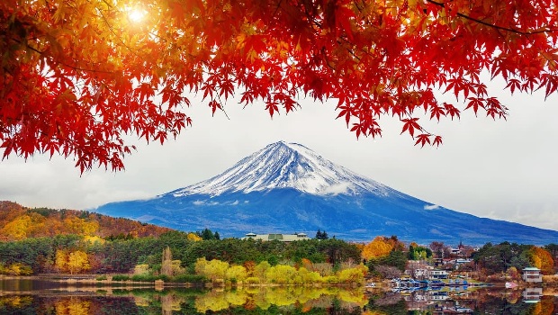 Tour du lịch Nhật Bản 4 ngày 3 đêm: Tokyo – Yamanashi – Fuji | Bay hãng Vietnam Airlines