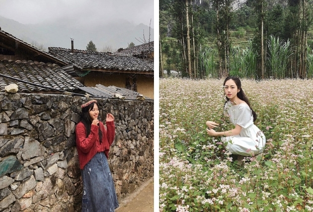 hoa tam giác mạch Hà Giang