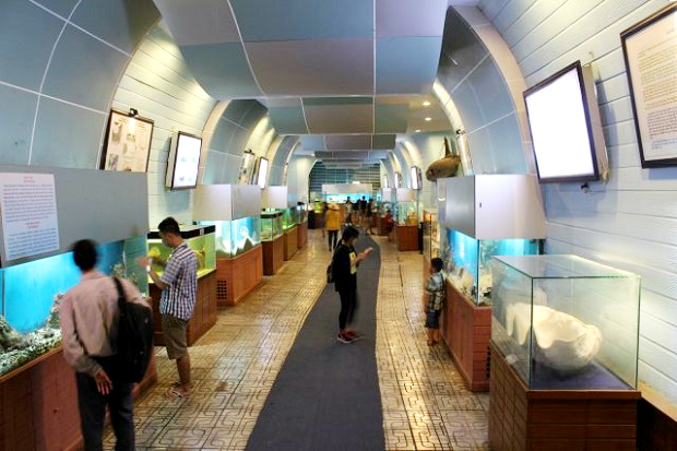 Bảo tàng sinh vật biển