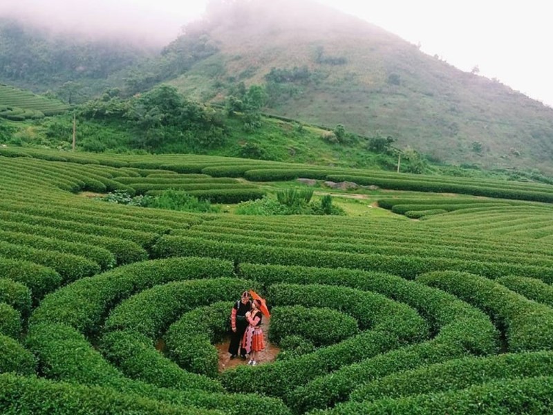 kinh-nghiem-di-moc-chau-3-ngay-2-dem