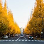 “Bỏ túi” kinh nghiệm du lịch Tokyo Nhật Bản 2022