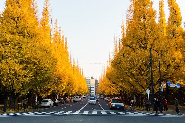 kinh-nghiem-du-lich-tokyo-nhat-ban