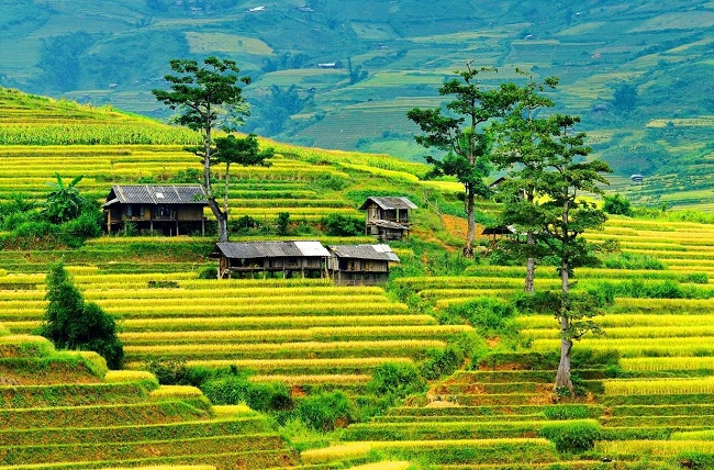 ban-do-du-lich-mu-cang-chai