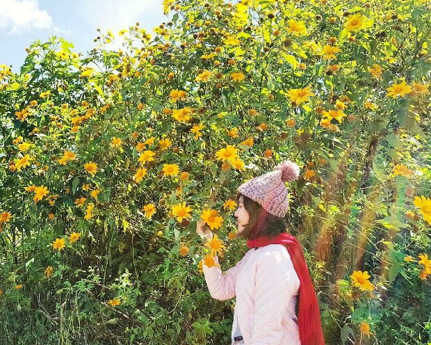 Du lịch Đà Lạt tháng 9