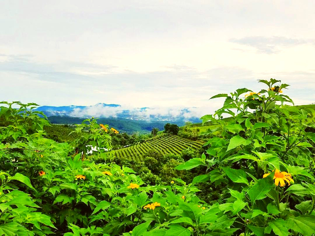 Du lịch Đà Lạt tháng 9