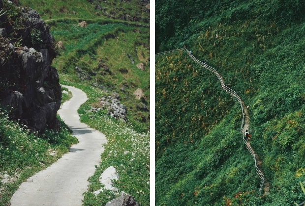 hoa tam giác mạch Hà Giang