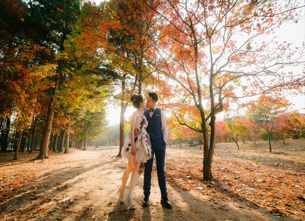 mua-thu-dao-nami-han-quoc