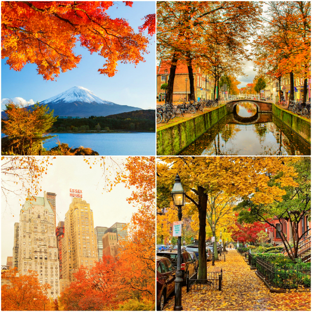 khuyến m&atilde;i m&ugrave;a thu Cathay Pacific