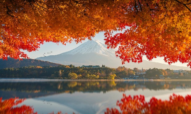 Núi Phú Sĩ mùa thu 