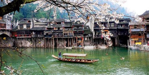 phuong-hoang-co-tran-mua-nao-dep