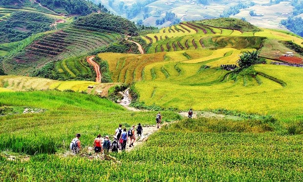 Bản đồ du lịch Sapa