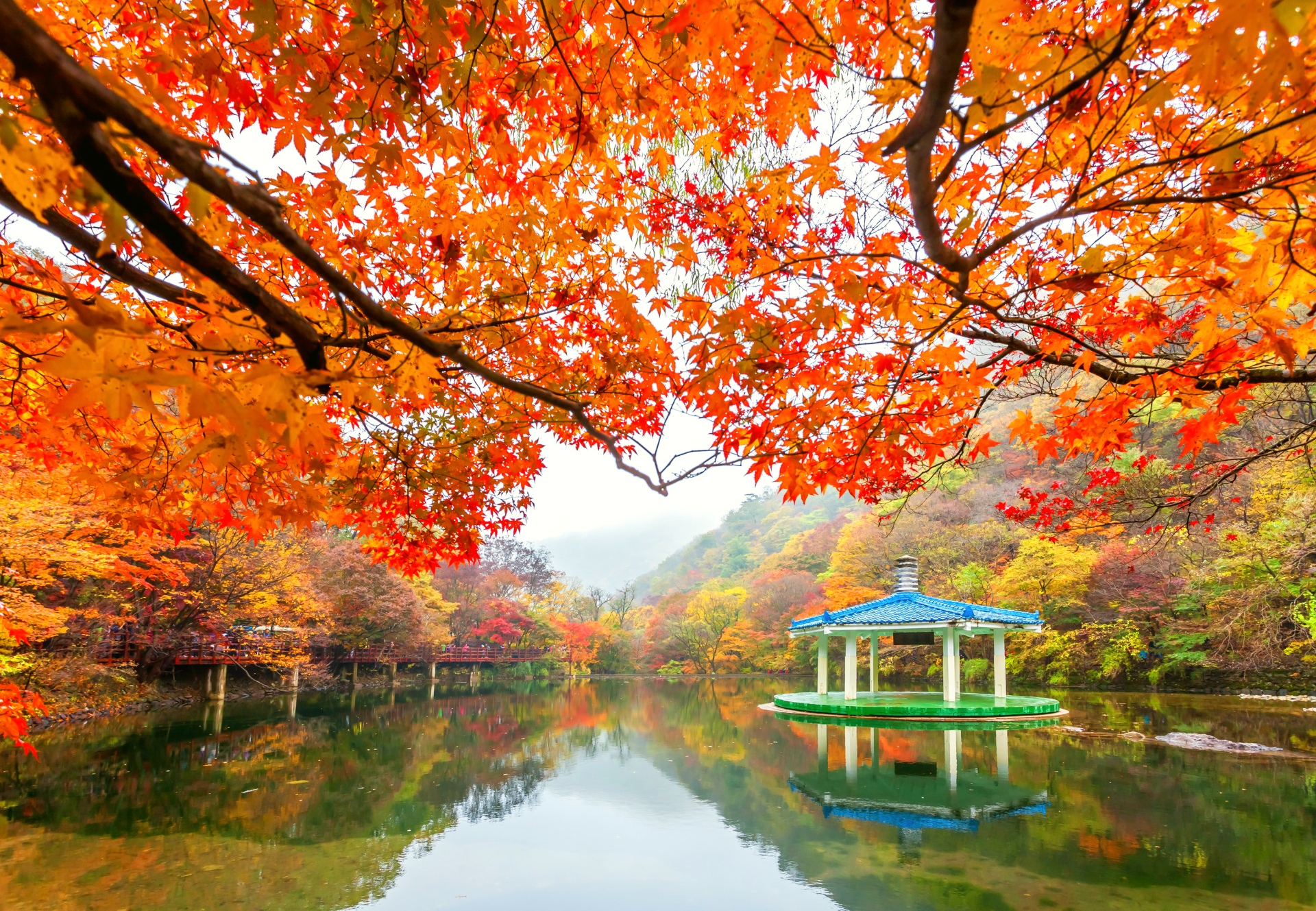 Top 7 điểm ngắm mùa thu Hàn Quốc đẹp nhất - Không đi nuối tiếc cả đời!