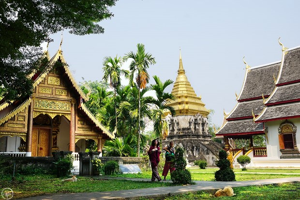 các địa điểm du lịch ở Chiang Mai