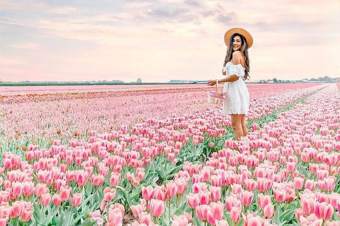 Xin visa du lịch Hà Lan tự túc