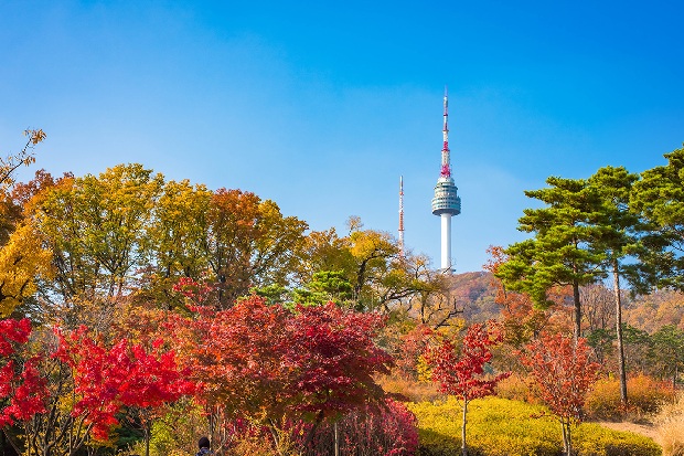 Tour du lịch Hàn Quốc 4 ngày 3 đêm: Seoul – Nami – Everland KH từ Đà Nẵng