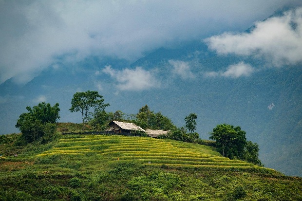 Thanh bình khoảng trời Sapa  | kinh nghiệm du lịch sapa tháng 10