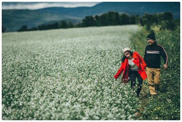 mùa hoa cải trắng Đà Lạt