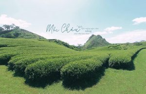 Tour du lịch khám phá Tây Bắc 4N3Đ từ Hà Nội | Mai Châu – Mộc Châu – Điện Biên – Sapa