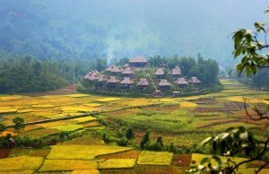 Tour du lịch Mai Châu 1 ngày từ Hà Nội | Khám phá “Mùa em thơm nếp xôi”