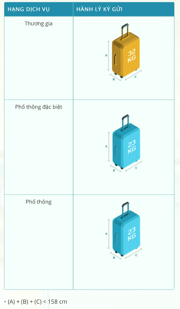 hành lý ký gửi Vietnam Airlines