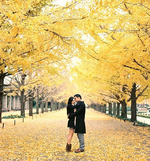 Ngắm lá vàng mùa thu Nhật Bản