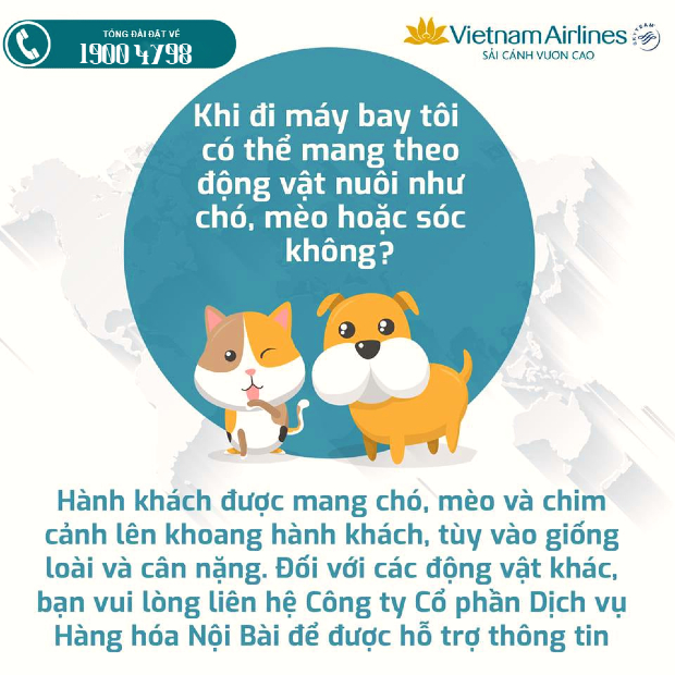 Quy định mang thú cưng lên máy bay của Vietnam Airlines