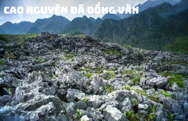Tour Tết du lịch Đà Nẵng – Hà Nội – Hà Giang 4N3Đ | Khám phá nơi địa đầu Tổ Quốc