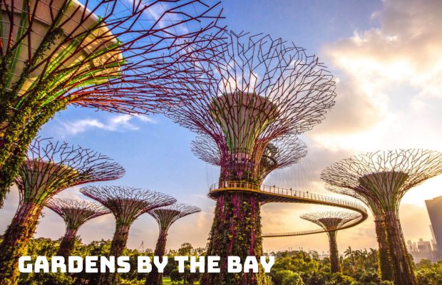 Tour Du Lịch Singapore từ Hà Nội 4 Ngày 3 Đêm: Khám Phá Đảo Quốc Sư Tử và Trải Nghiệm Văn Hóa Đa Dạng