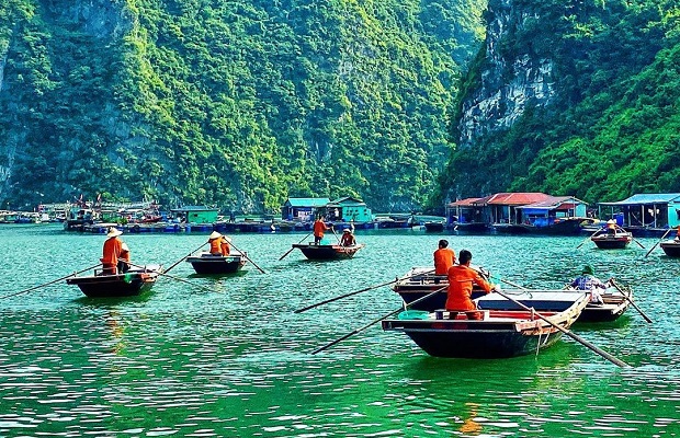 Tour du lịch Hà Nội – Hạ Long 1 Ngày | Khám phá Động Thiên Cung – Hòn Gà Chọi